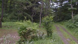 長野県菅平高原 ゆたか山荘 坂上 2026/07/18 15:30