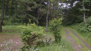 長野県菅平高原 ゆたか山荘 坂上 2026/07/18 15:45
