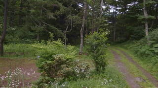 長野県菅平高原 ゆたか山荘 坂上 2026/07/18 16:15
