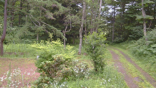 長野県菅平高原 ゆたか山荘 坂上 2026/07/18 16:30