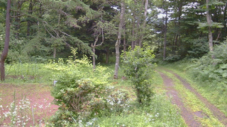 長野県菅平高原 ゆたか山荘 坂上 2026/07/18 16:45