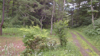長野県菅平高原 ゆたか山荘 坂上 2026/07/18 17:00