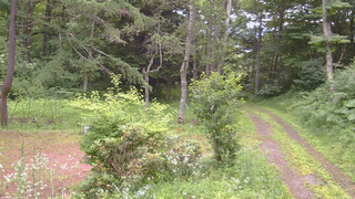 長野県菅平高原 ゆたか山荘 坂上 2026/07/18 17:15