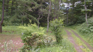 長野県菅平高原 ゆたか山荘 坂上 2026/07/18 17:30