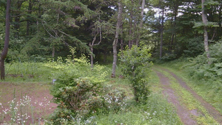 長野県菅平高原 ゆたか山荘 坂上 2026/07/18 17:45