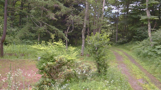 長野県菅平高原 ゆたか山荘 坂上 2026/07/18 18:00