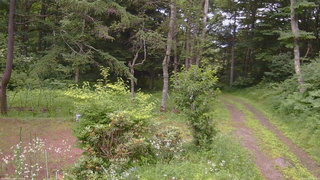 長野県菅平高原 ゆたか山荘 坂上 2026/07/18 18:15