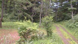 長野県菅平高原 ゆたか山荘 坂上 2026/07/18 18:45