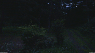 長野県菅平高原 ゆたか山荘 坂上 2026/07/18 19:15