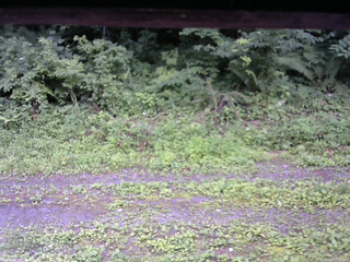 長野県菅平高原 ゆたか山荘 東側(坂下) 2026/07/19 11:15