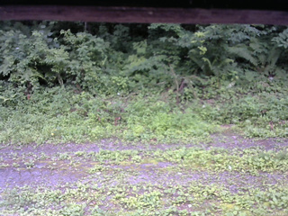 長野県菅平高原 ゆたか山荘 東側(坂下) 2026/07/19 12:15
