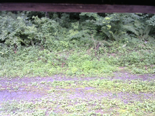 長野県菅平高原 ゆたか山荘 東側(坂下) 2026/07/19 13:15
