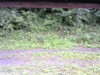 長野県菅平高原 ゆたか山荘 東側(坂下) 2026/07/19 13:30