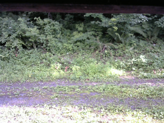 長野県菅平高原 ゆたか山荘 東側(坂下) 2026/07/19 16:30