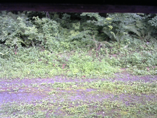 長野県菅平高原 ゆたか山荘 東側(坂下) 2026/07/19 16:45