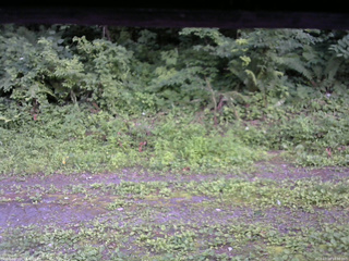 長野県菅平高原 ゆたか山荘 東側(坂下) 2026/07/19 18:00