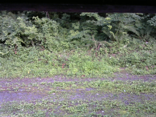 長野県菅平高原 ゆたか山荘 東側(坂下) 2026/07/19 18:15