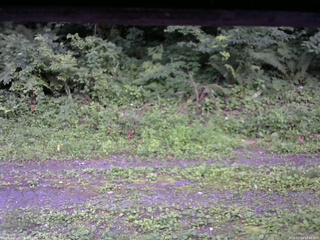 長野県菅平高原 ゆたか山荘 東側(坂下) 2026/07/19 18:45