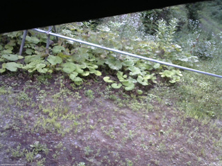 長野県菅平高原 ゆたか山荘 駐車場 2026/07/19 07:30