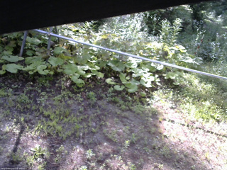 長野県菅平高原 ゆたか山荘 駐車場 2026/07/19 07:45