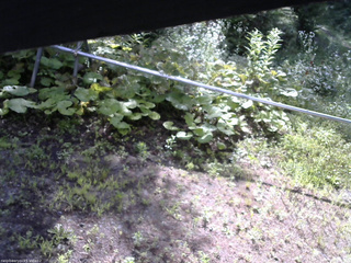 長野県菅平高原 ゆたか山荘 駐車場 2026/07/19 08:00