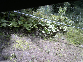 長野県菅平高原 ゆたか山荘 駐車場 2026/07/19 08:15