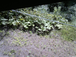 長野県菅平高原 ゆたか山荘 駐車場 2026/07/19 08:45