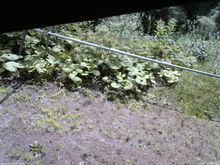 長野県菅平高原 ゆたか山荘 駐車場 2026/07/19 09:15