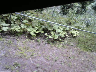 長野県菅平高原 ゆたか山荘 駐車場 2026/07/19 09:45