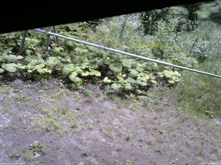 長野県菅平高原 ゆたか山荘 駐車場 2026/07/19 10:30