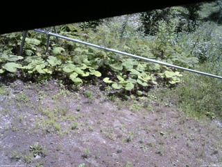 長野県菅平高原 ゆたか山荘 駐車場 2026/07/19 10:45