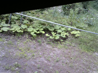 長野県菅平高原 ゆたか山荘 駐車場 2026/07/19 11:15