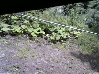 長野県菅平高原 ゆたか山荘 駐車場 2026/07/19 11:30