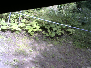 長野県菅平高原 ゆたか山荘 駐車場 2026/07/19 13:45