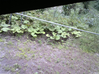 長野県菅平高原 ゆたか山荘 駐車場 2026/07/19 14:15