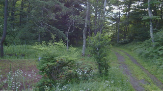 長野県菅平高原 ゆたか山荘 坂上 2026/07/19 05:00