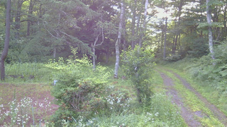 長野県菅平高原 ゆたか山荘 坂上 2026/07/19 05:15