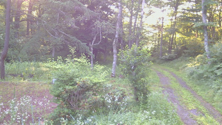 長野県菅平高原 ゆたか山荘 坂上 2026/07/19 05:30