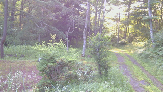 長野県菅平高原 ゆたか山荘 坂上 2026/07/19 05:45