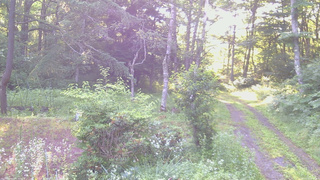 長野県菅平高原 ゆたか山荘 坂上 2026/07/19 06:00