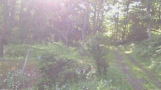 長野県菅平高原 ゆたか山荘 坂上 2026/07/19 06:30