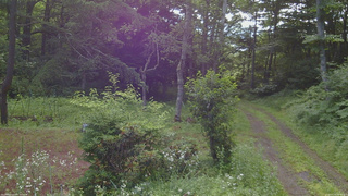 長野県菅平高原 ゆたか山荘 坂上 2026/07/19 06:45