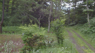 長野県菅平高原 ゆたか山荘 坂上 2026/07/19 07:00