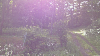 長野県菅平高原 ゆたか山荘 坂上 2026/07/19 07:15
