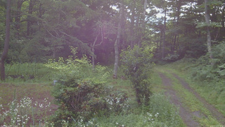 長野県菅平高原 ゆたか山荘 坂上 2026/07/19 07:30