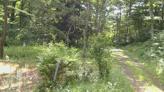 長野県菅平高原 ゆたか山荘 坂上 2026/07/19 08:15