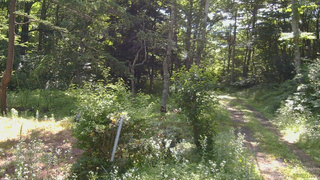 長野県菅平高原 ゆたか山荘 坂上 2026/07/19 08:30
