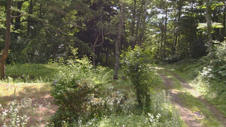 長野県菅平高原 ゆたか山荘 坂上 2026/07/19 08:45