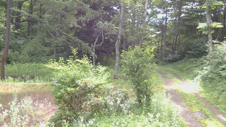 長野県菅平高原 ゆたか山荘 坂上 2026/07/19 09:00