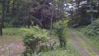 長野県菅平高原 ゆたか山荘 坂上 2026/07/19 09:30